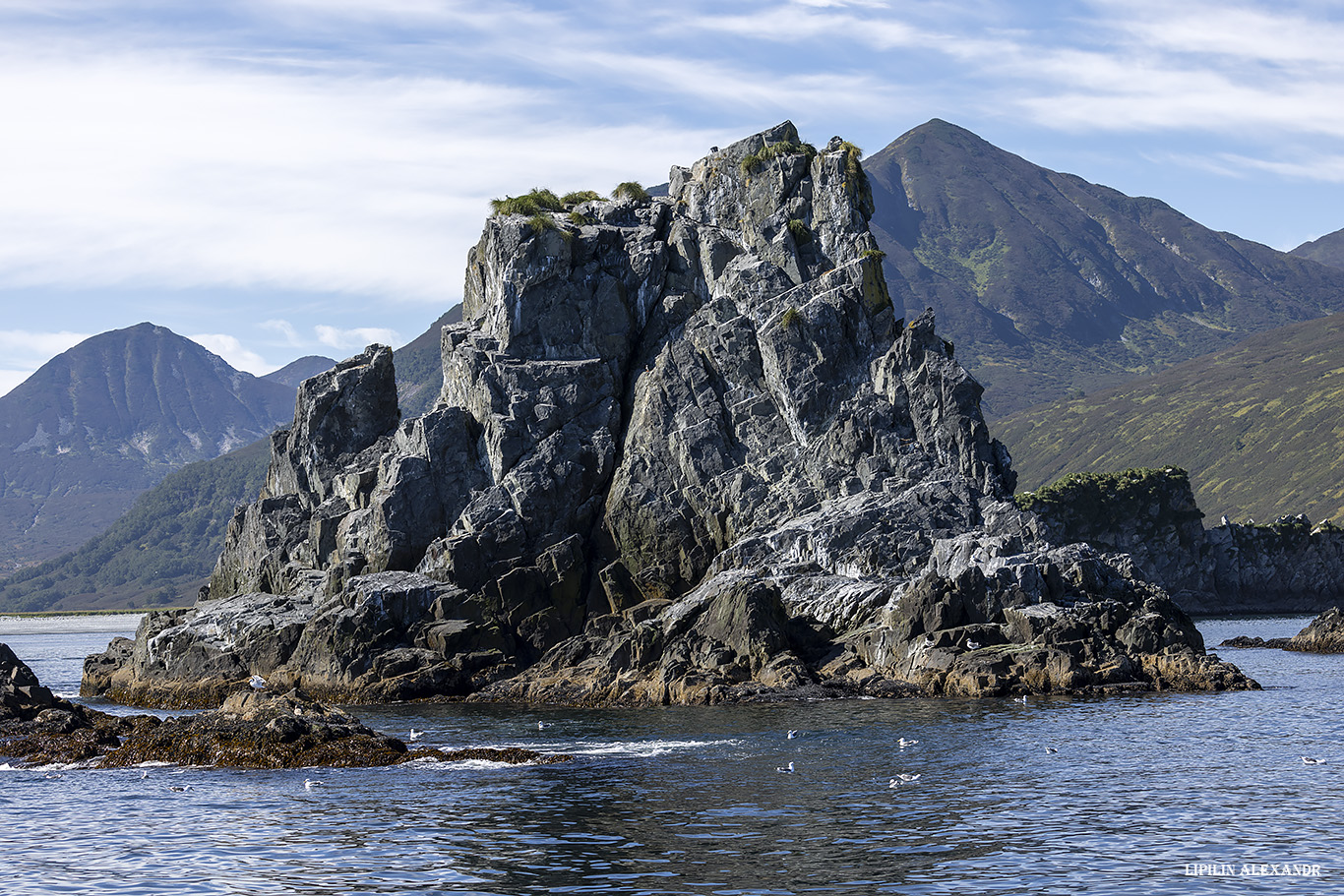 Лежбище сивучей