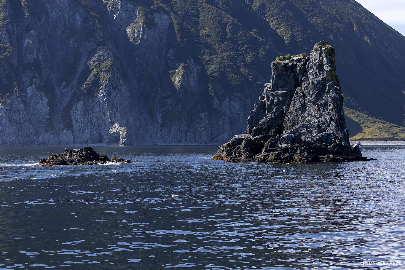 Лежбище сивучей