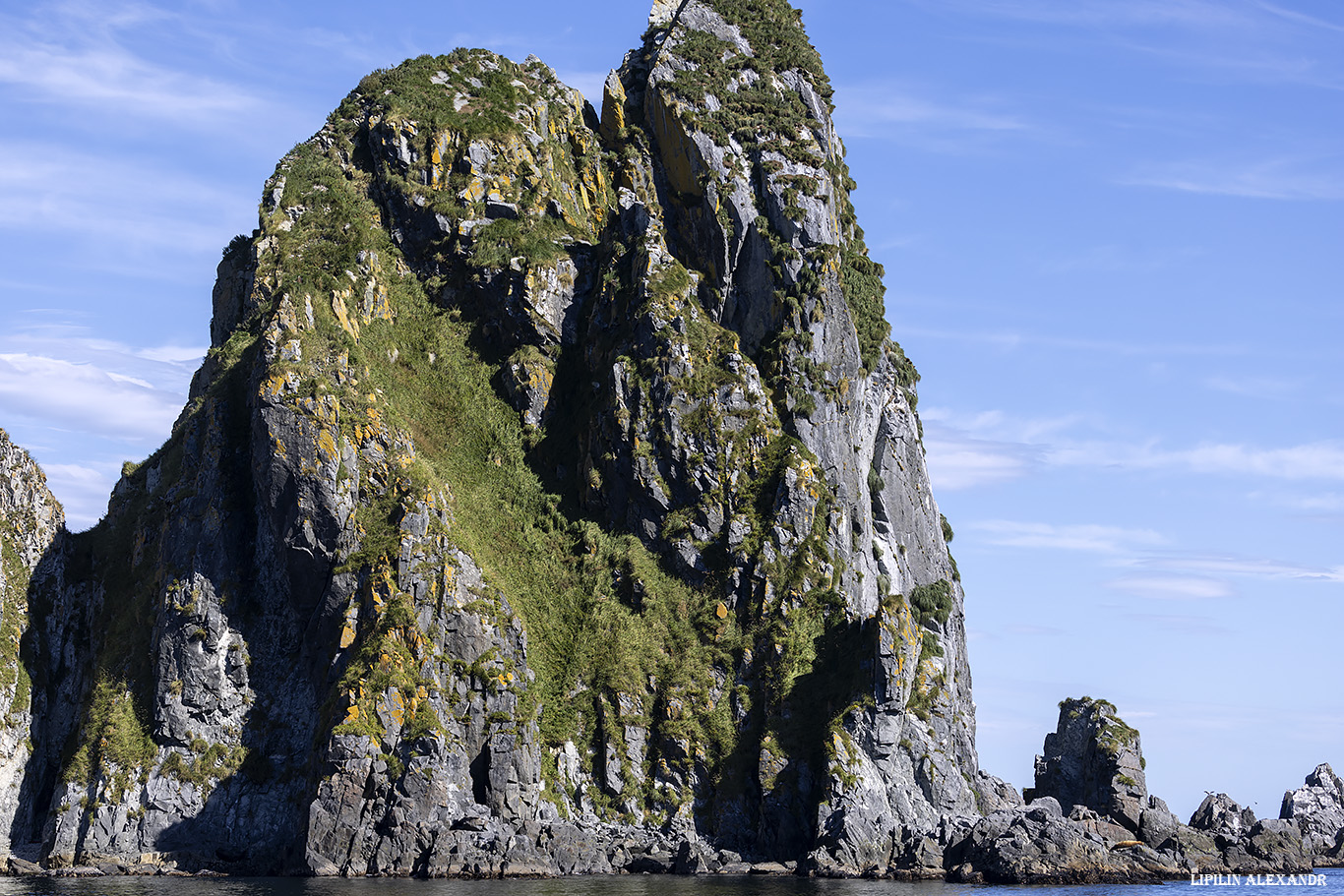 Лежбище сивучей