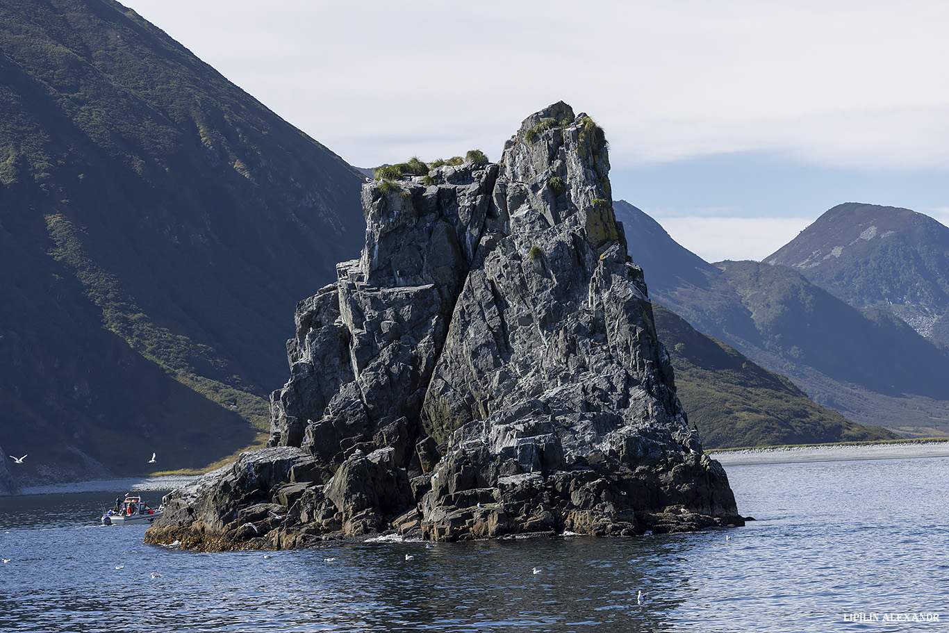 Лежбище сивучей