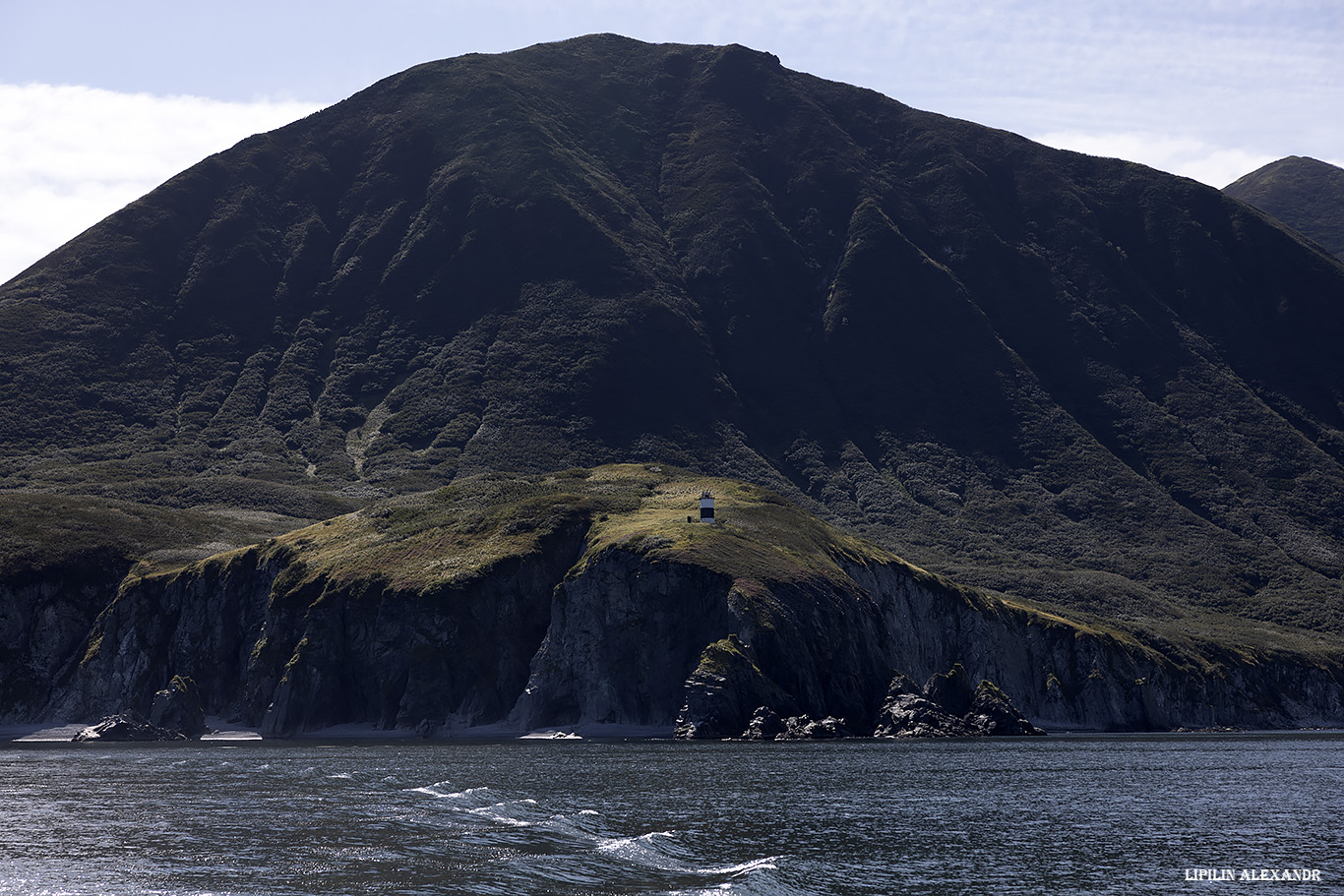 Лежбище сивучей