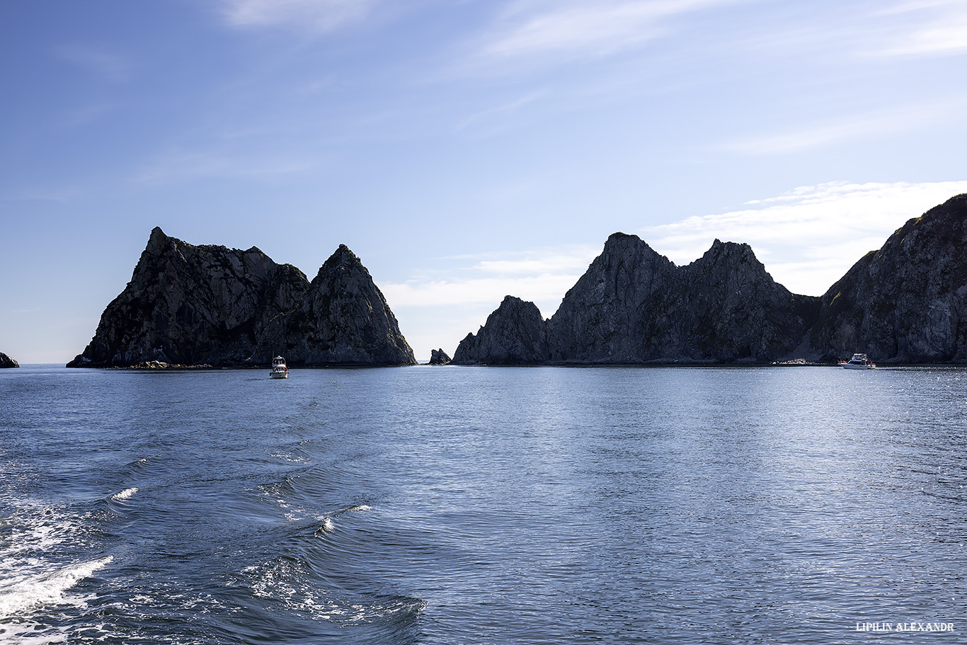 Лежбище сивучей