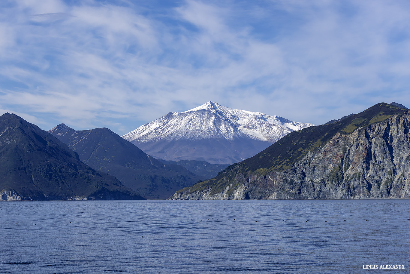 Лежбище сивучей