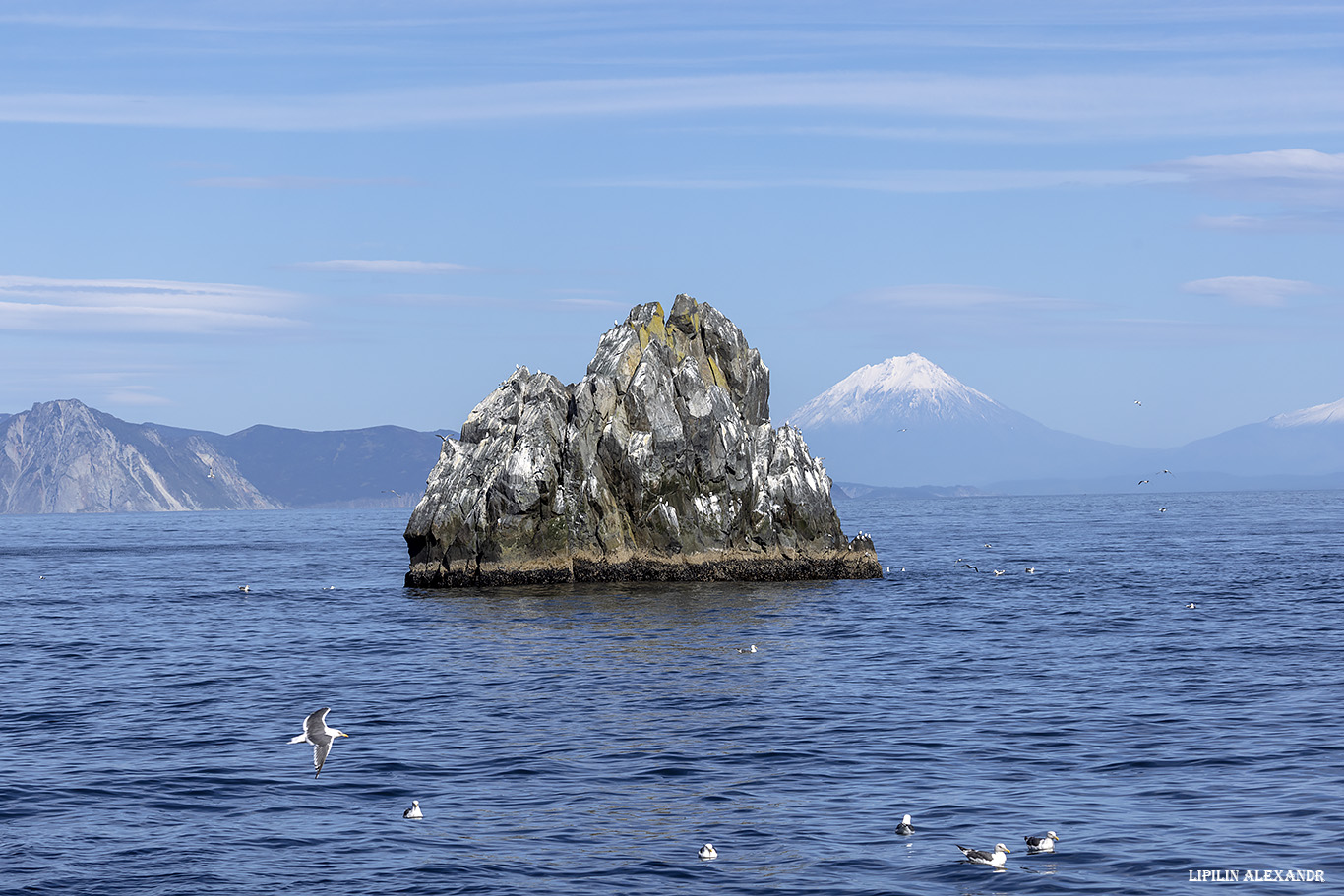 Лежбище сивучей