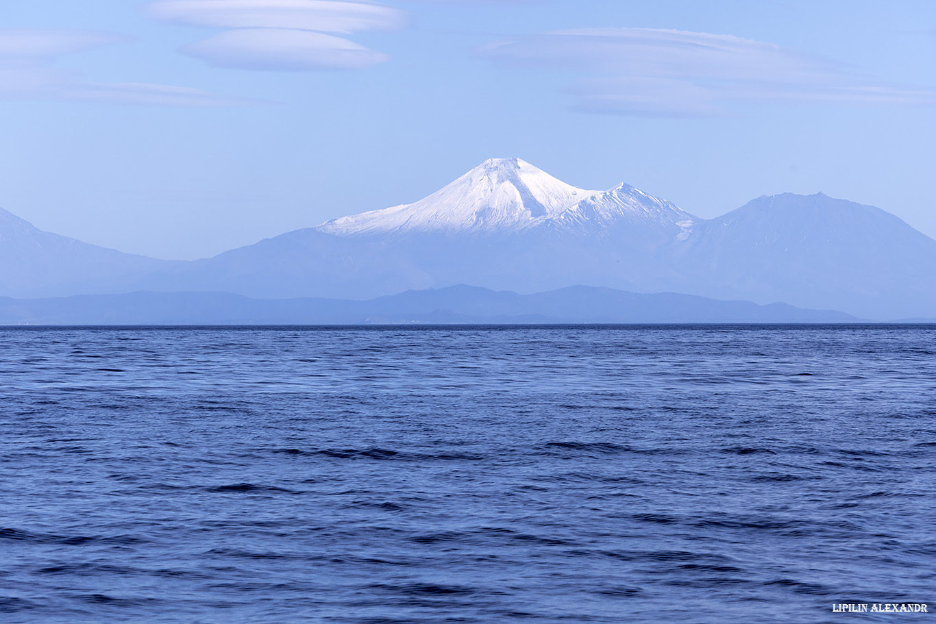 Лежбище сивучей