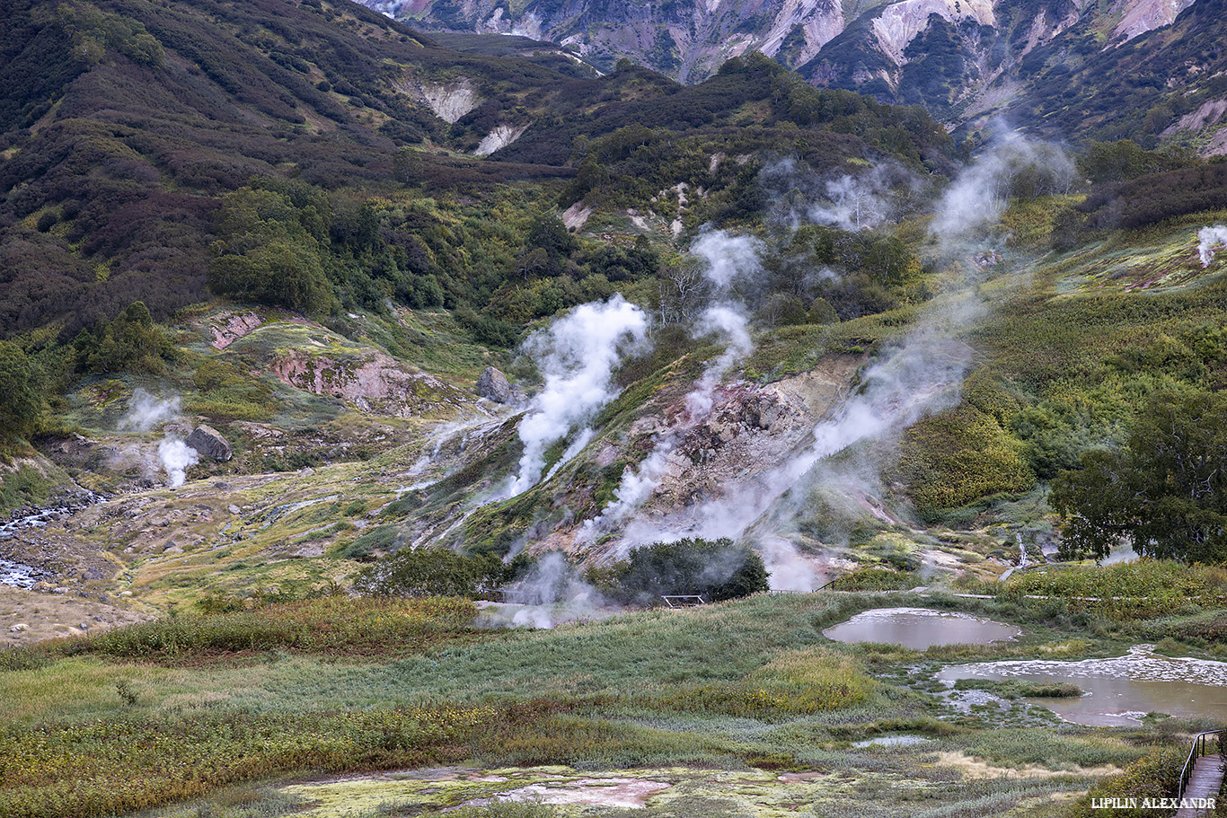 Долина гейзеров