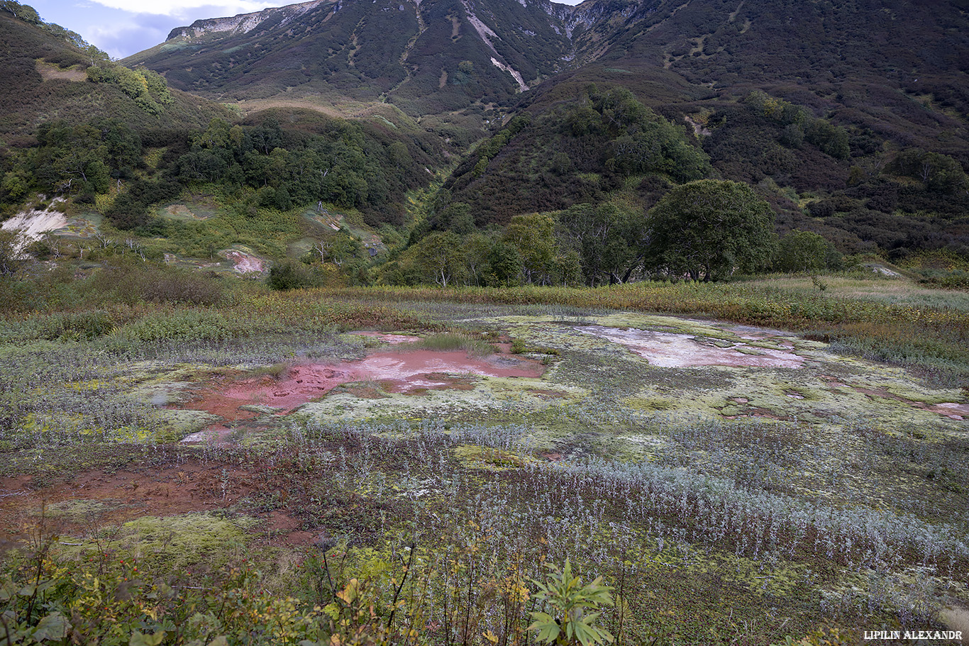 Долина гейзеров