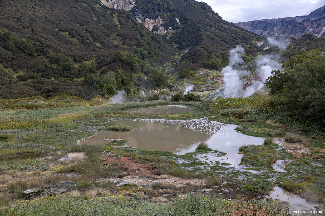 Долина гейзеров