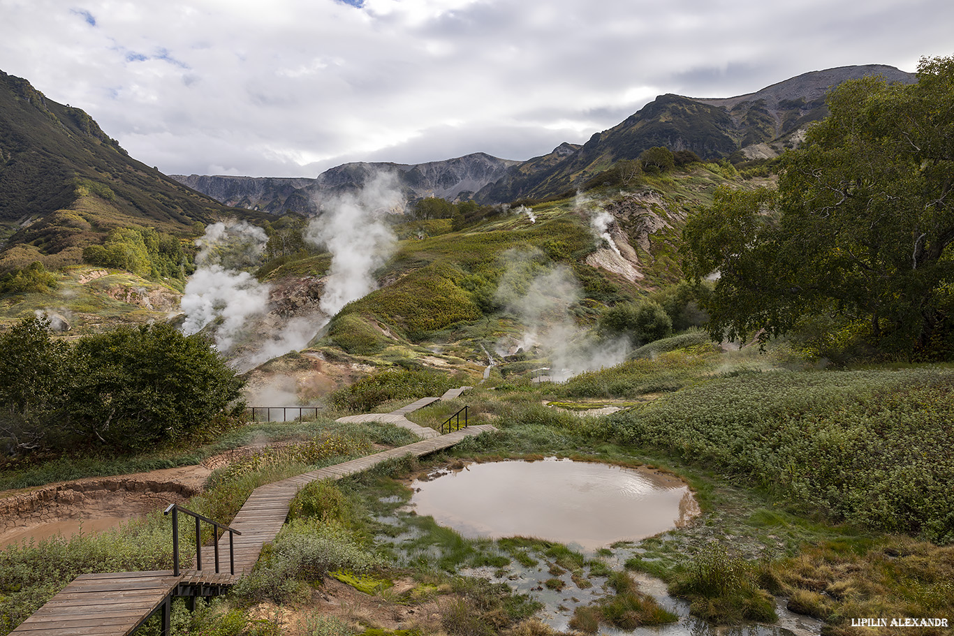 Долина гейзеров
