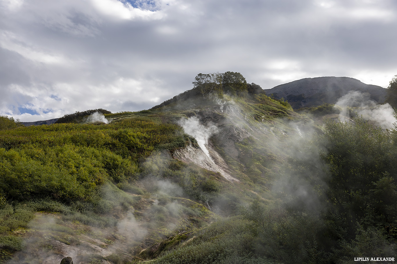 Долина гейзеров