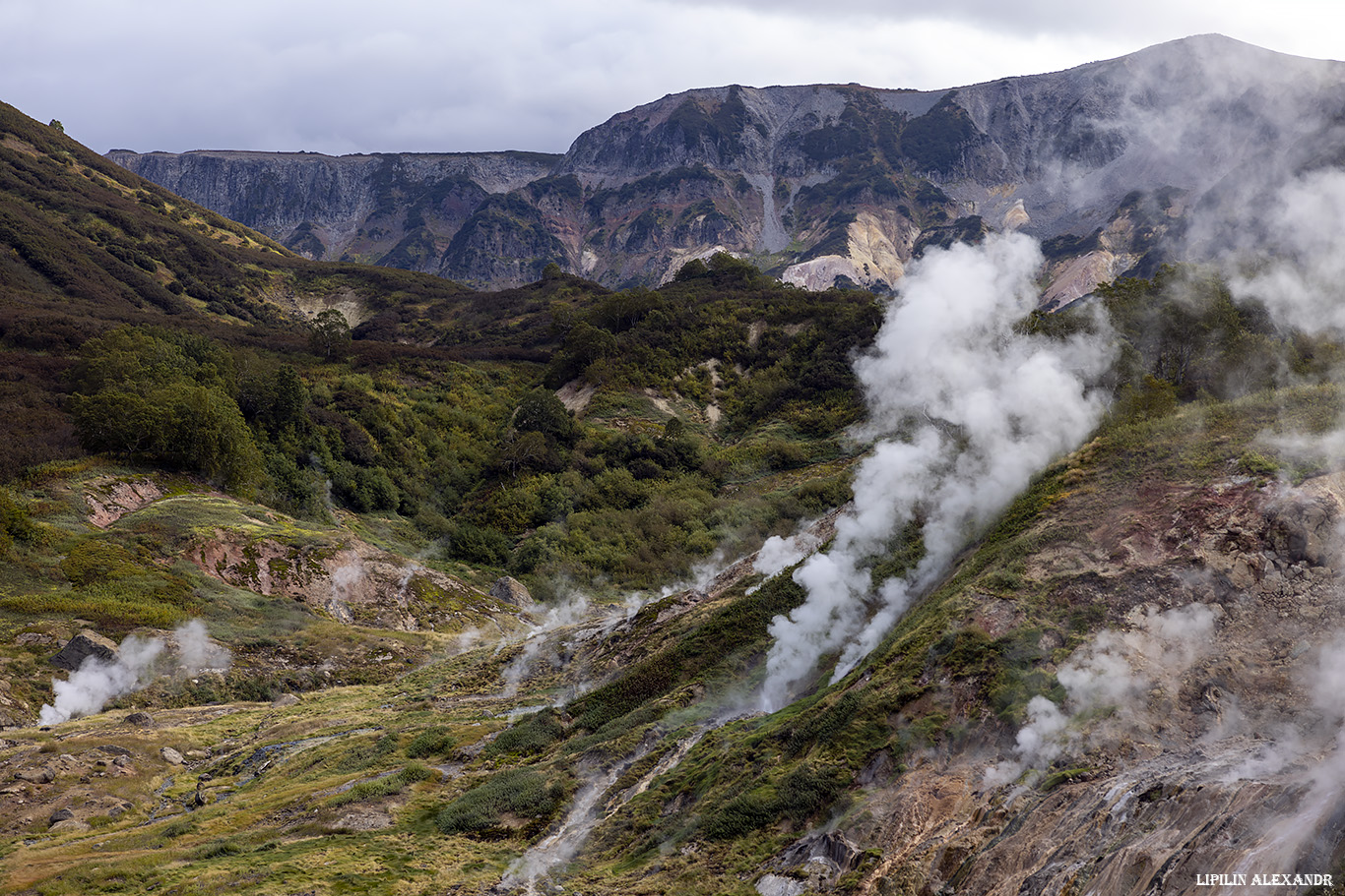 Долина гейзеров