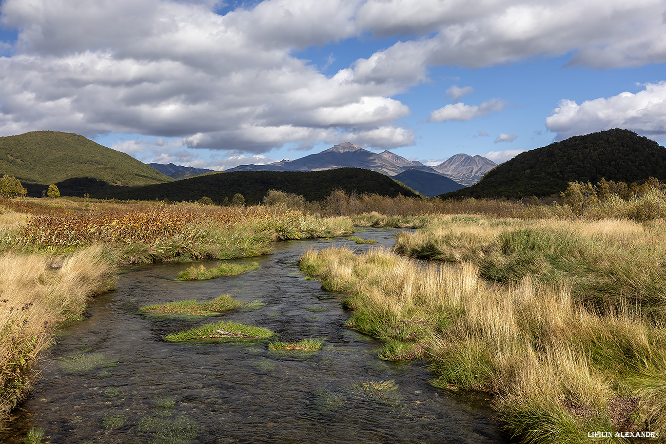 Налычевский заповедник