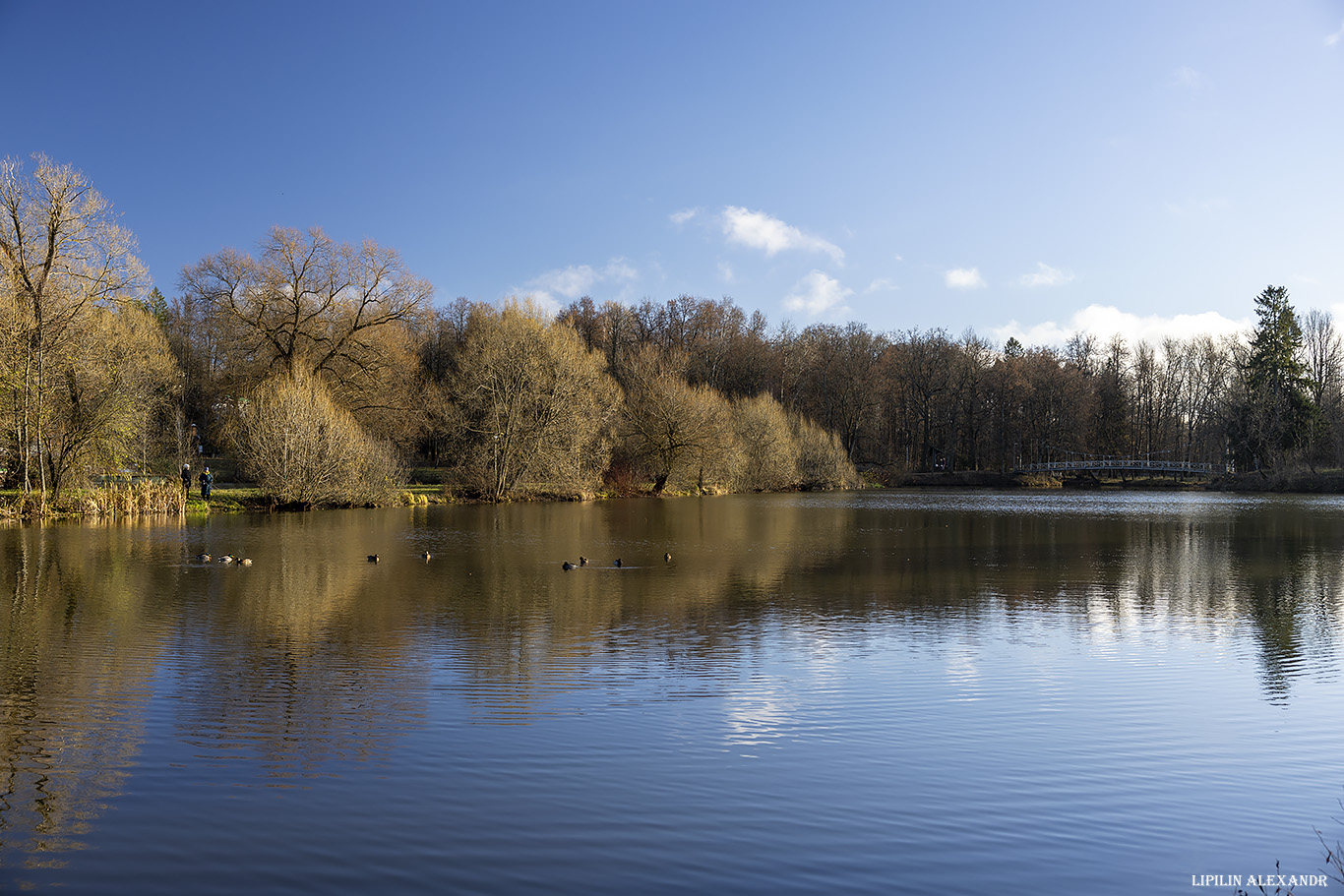 Усадьба Ершово