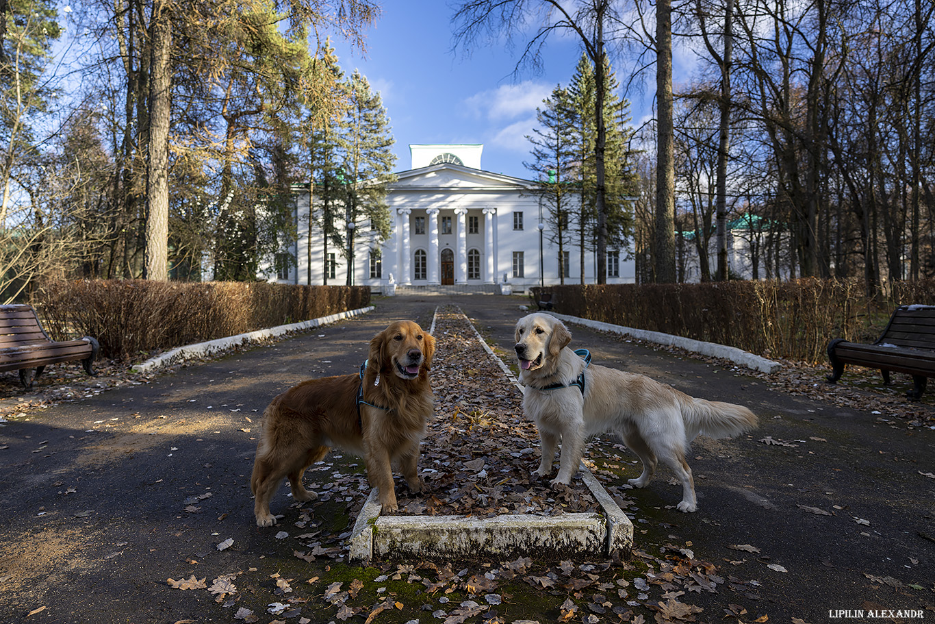 Усадьба Ершово