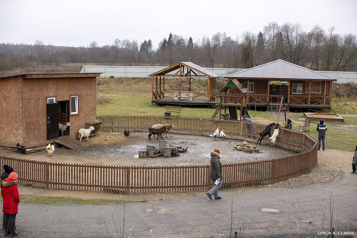 Парк львов Земля Прайда