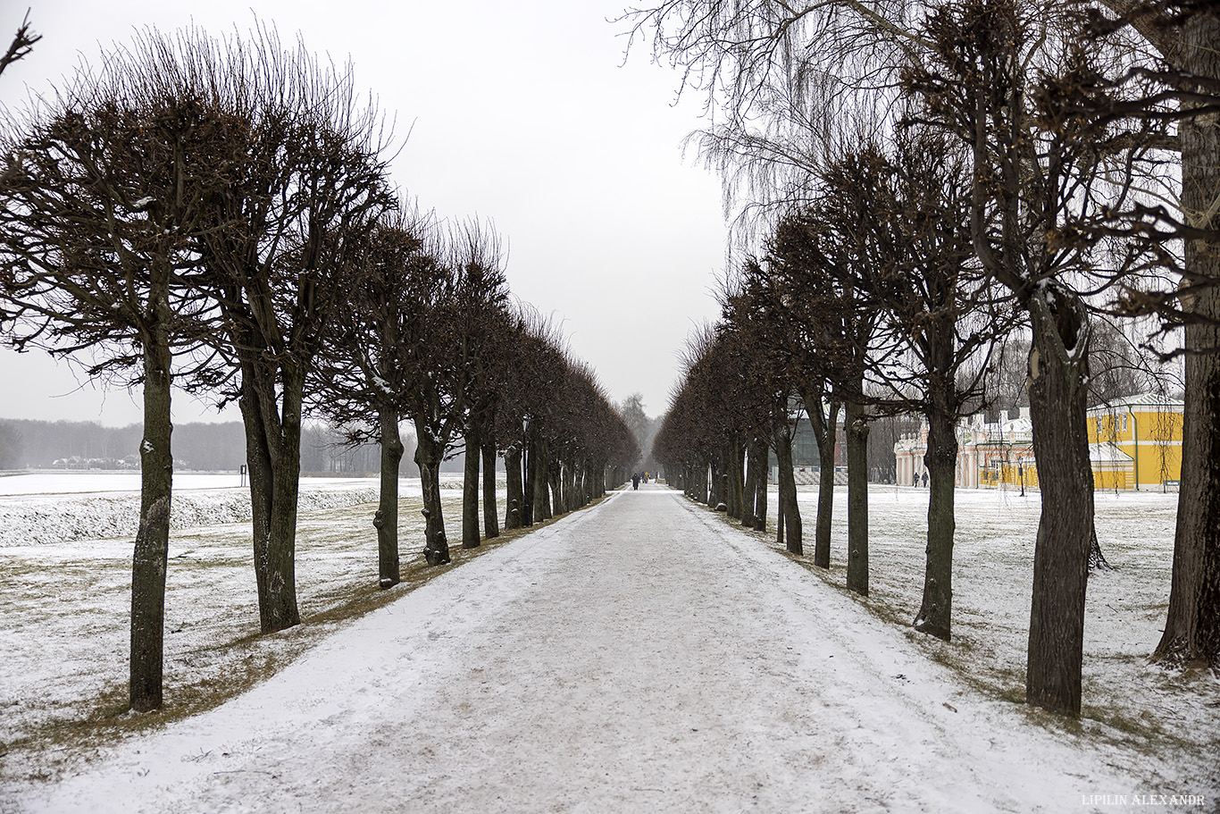 Музей-заповедник Кусково - Дворец Шереметевых
