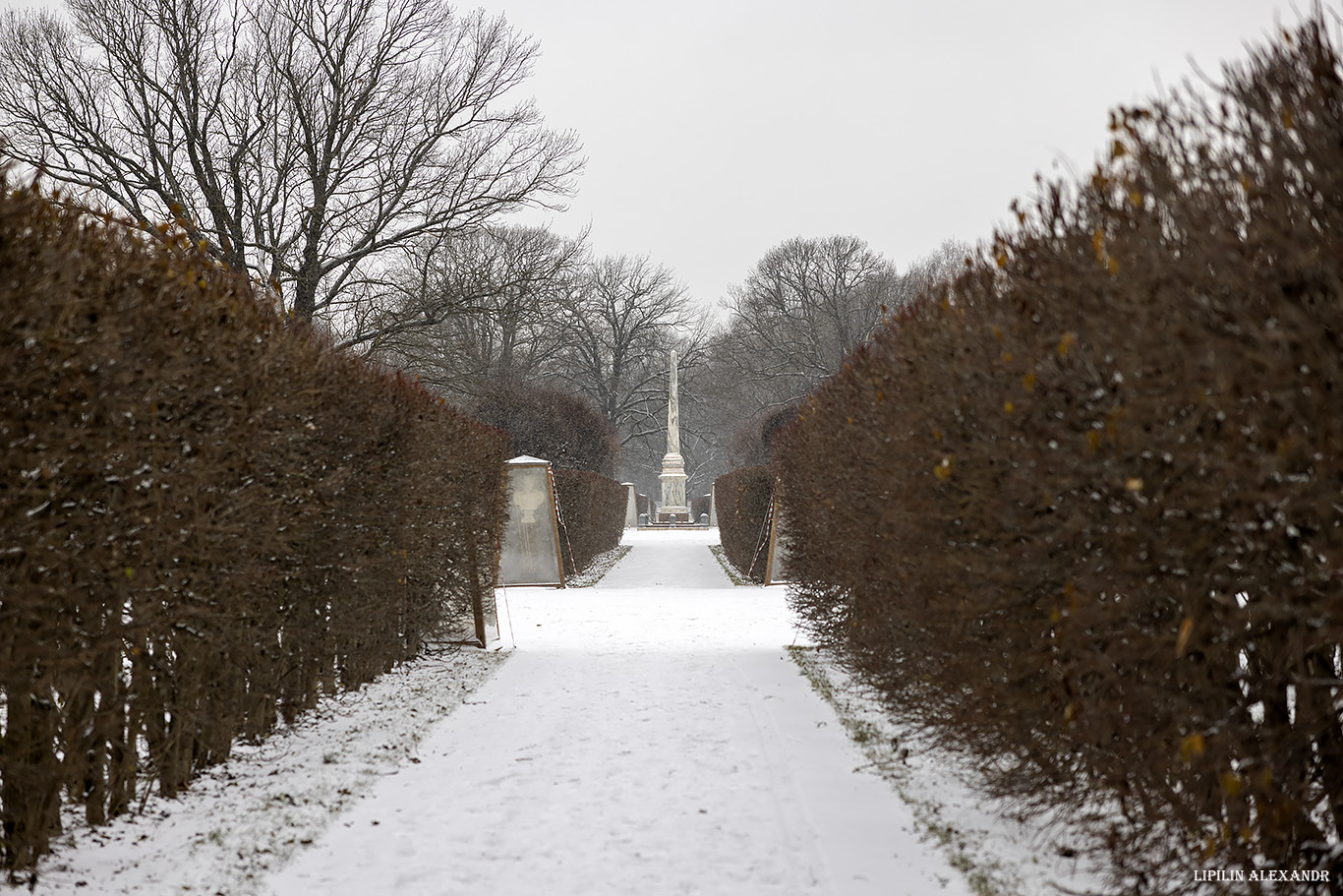 Музей-заповедник Кусково - Дворец Шереметевых