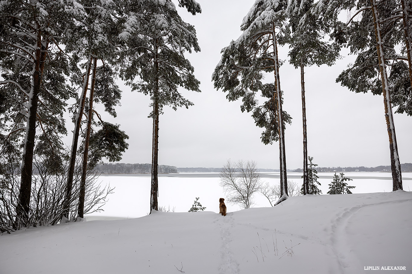 Истринское водохранилище