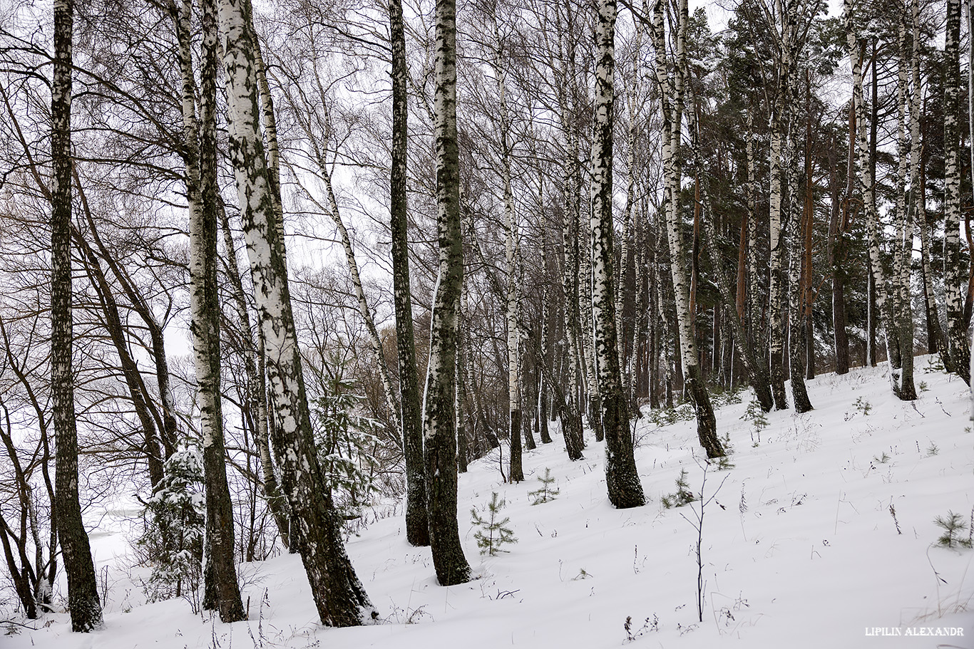 Истринское водохранилище