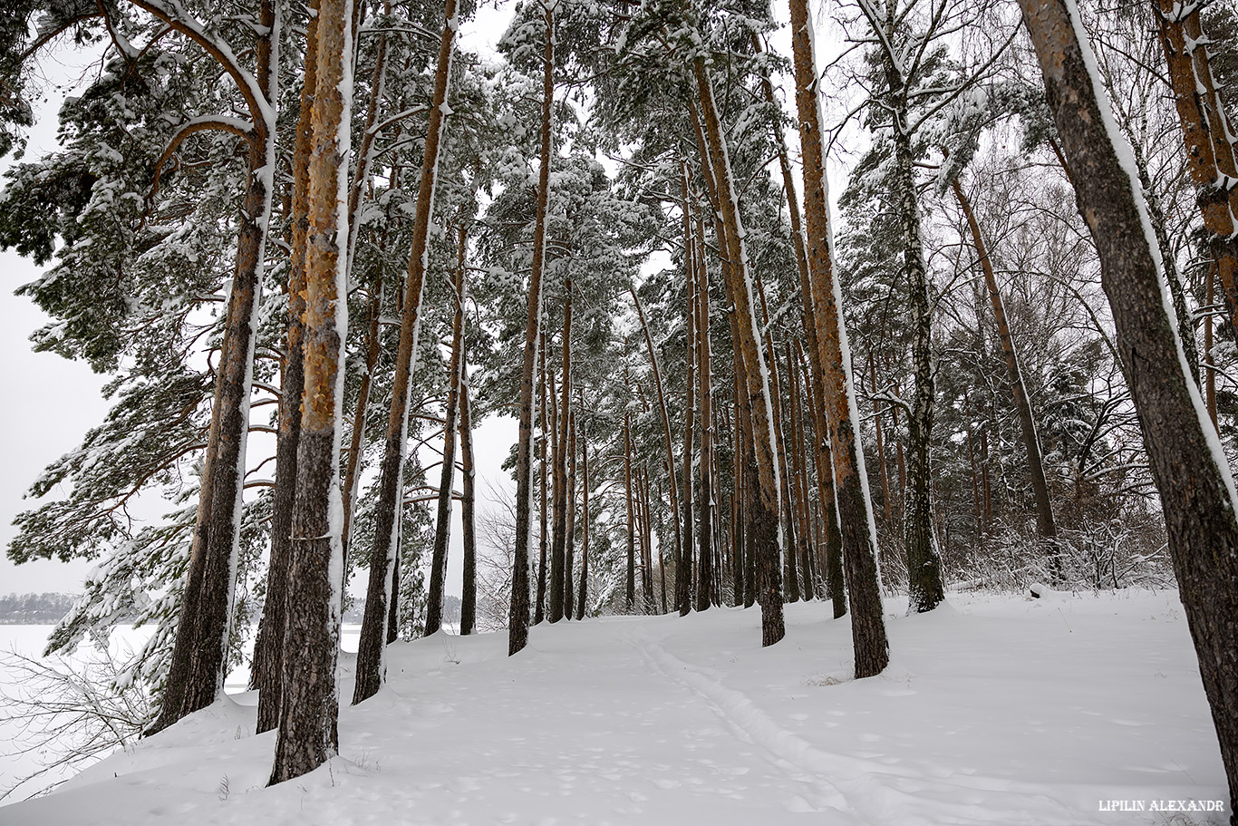 Истринское водохранилище