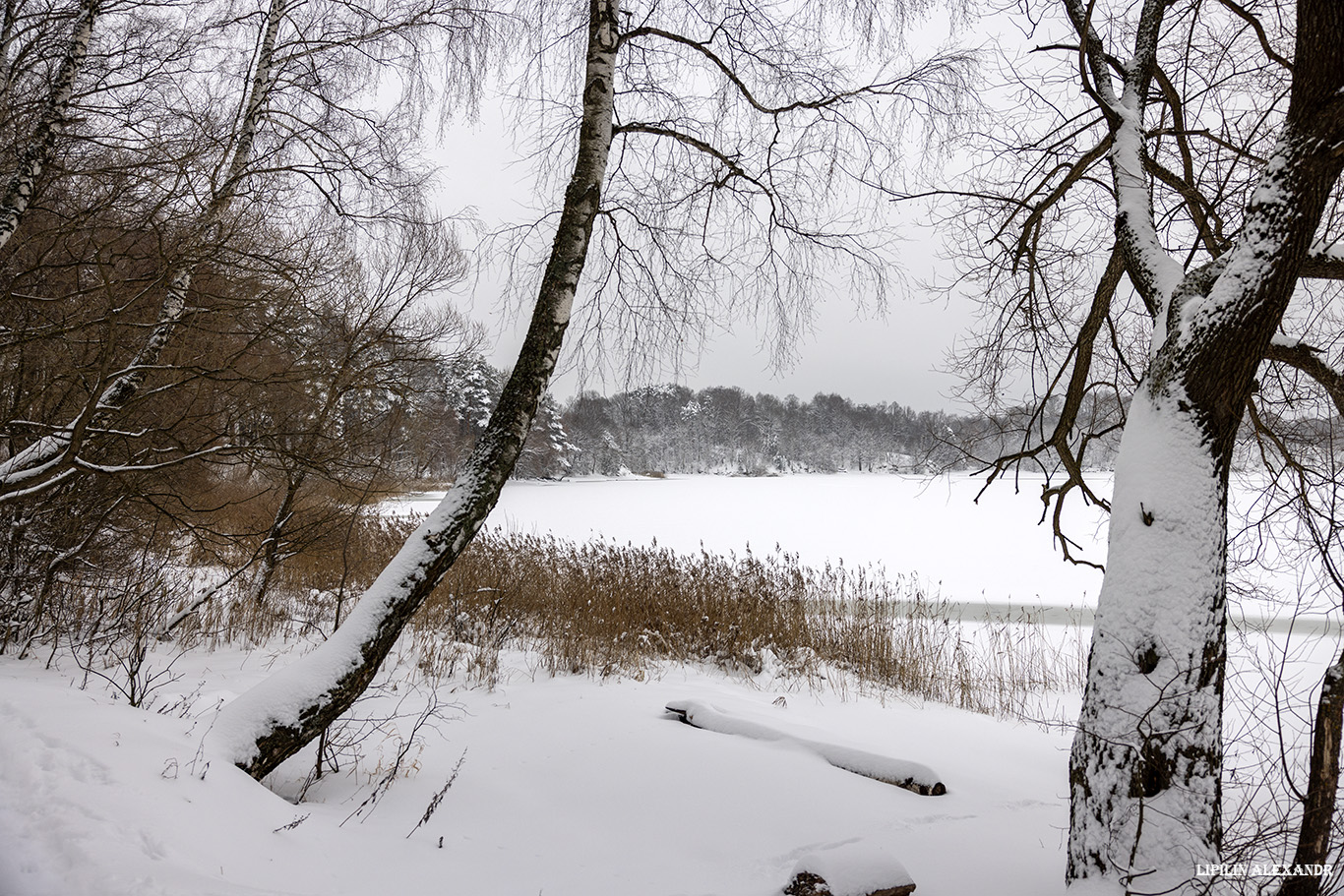 Истринское водохранилище