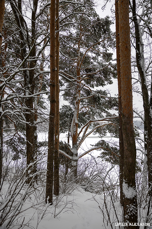 Истринское водохранилище