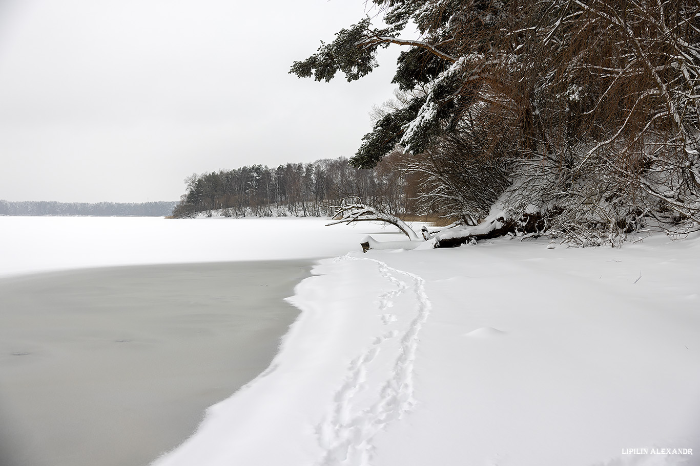 Истринское водохранилище