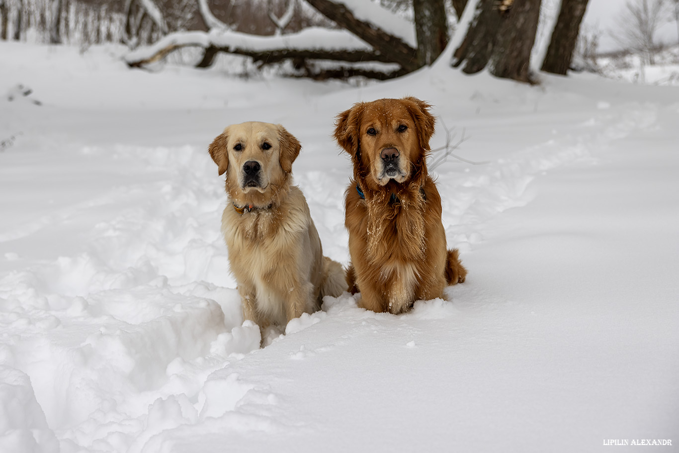 Истринское водохранилище