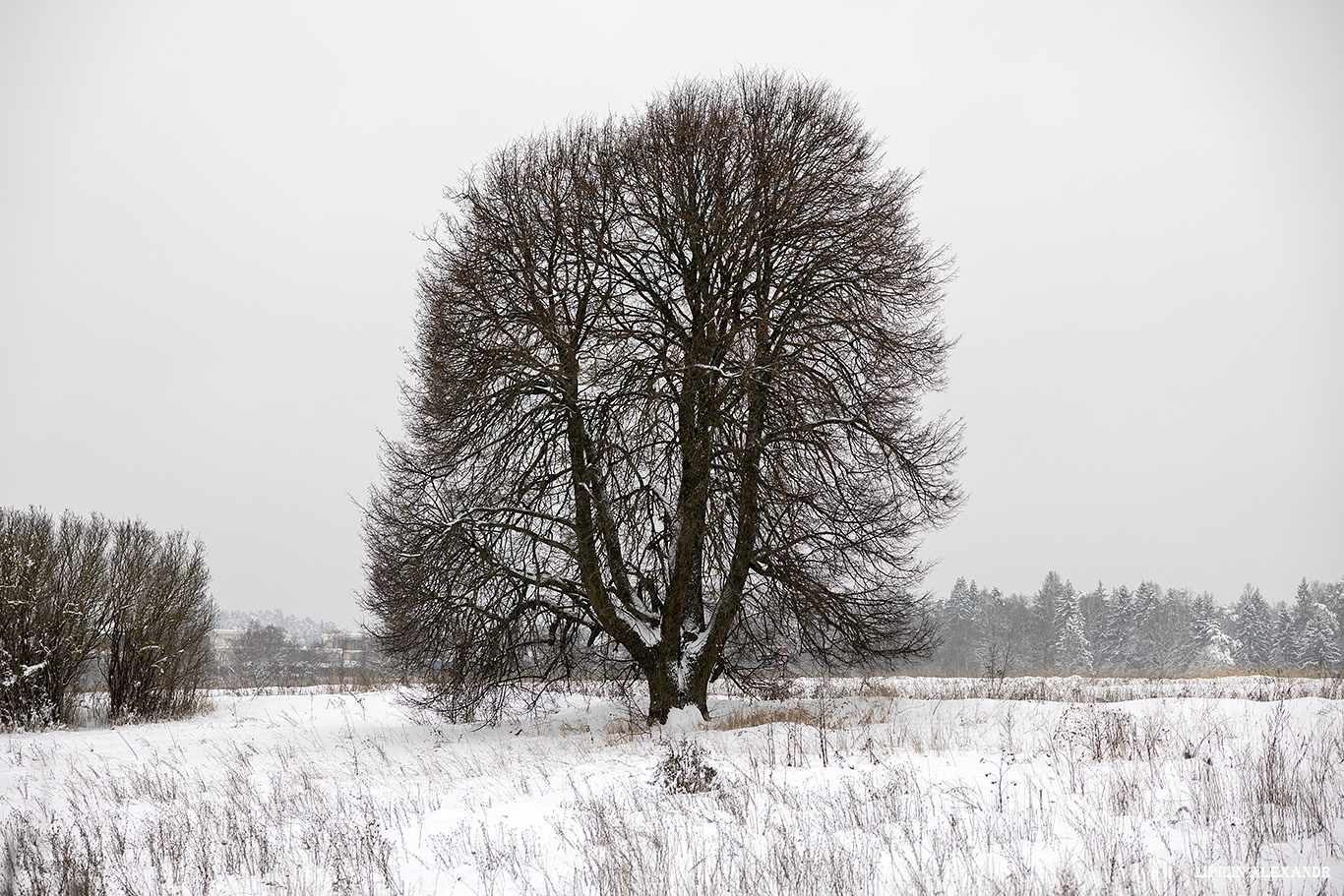 Истринское водохранилище