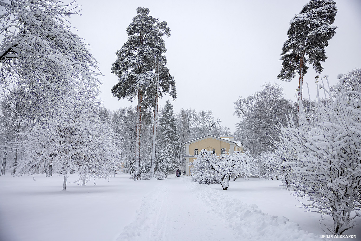 Дворец Коттедж