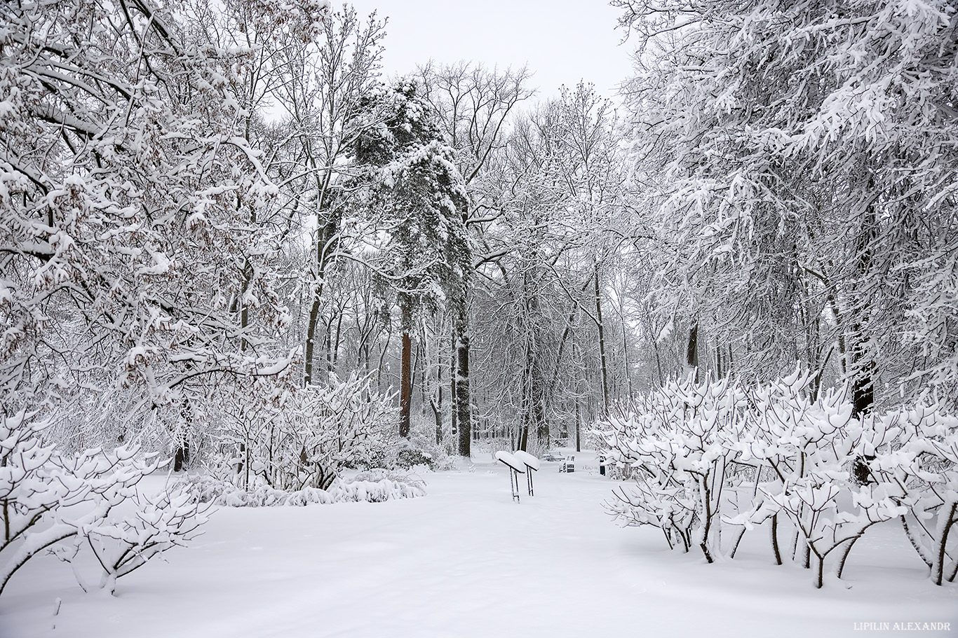 Фермерский дворец