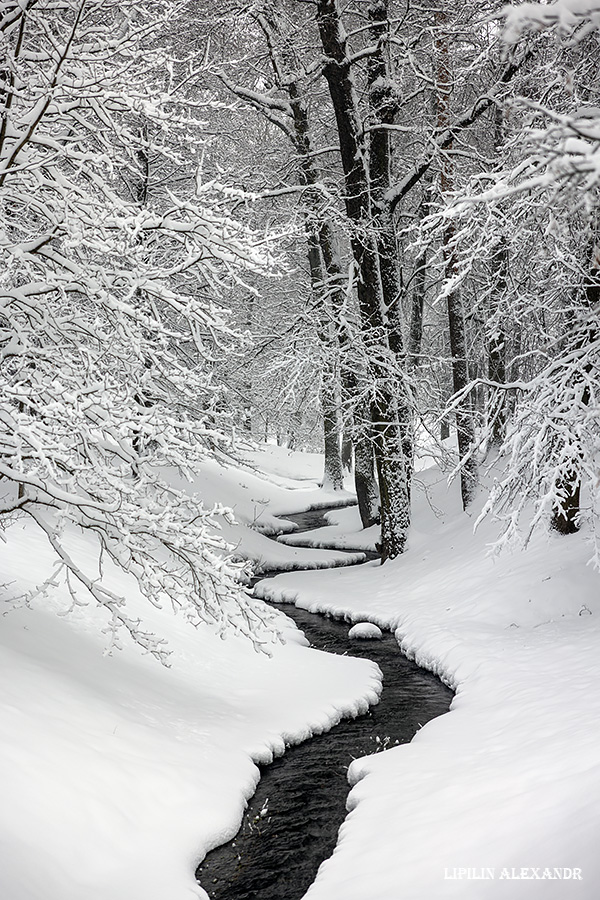 Дворцовая телеграфная станция