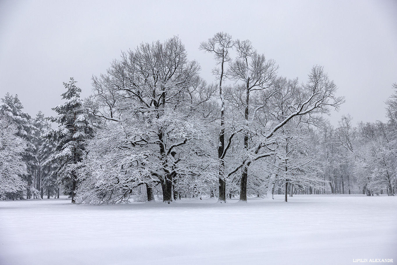 Дворцовая телеграфная станция