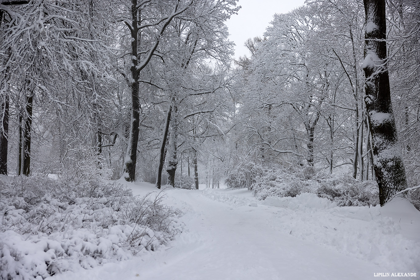 Дворцовая телеграфная станция