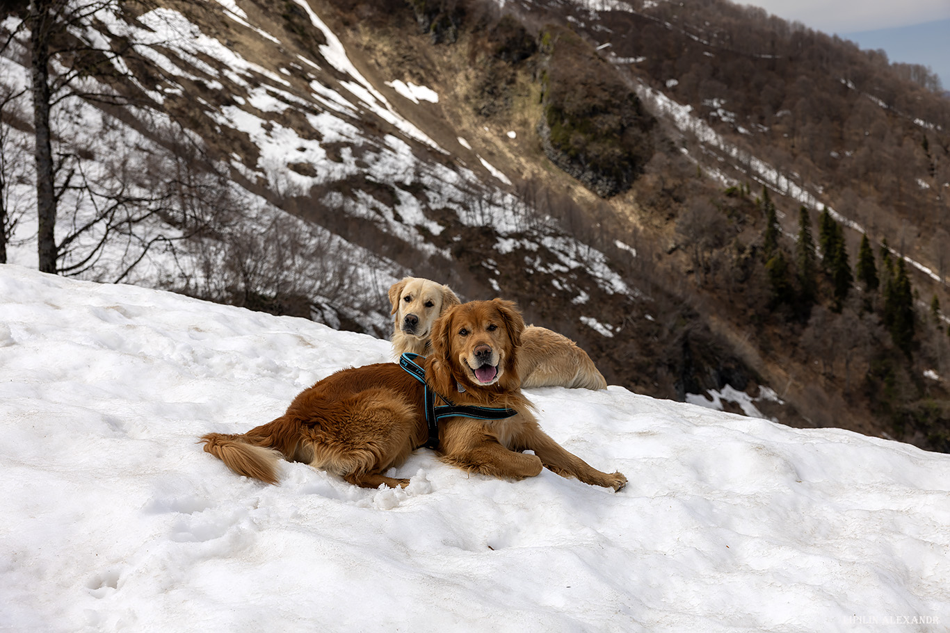 Водопад Медвежий